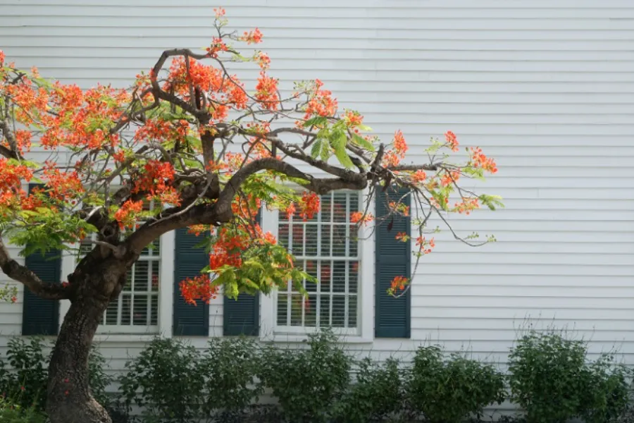 How Siding Installation Enhances Your Homes Exterior Appeal in Federal Way, WA
