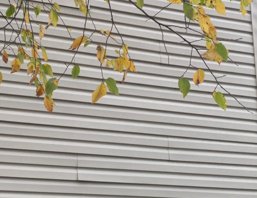 Professional Siding Replacement Federal Way, WA